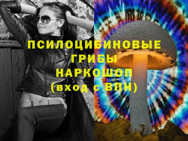 гашик Армянск