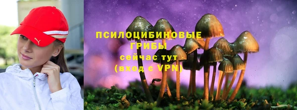 сатива Арсеньев
