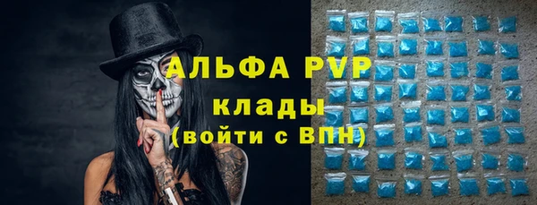 сатива Арсеньев