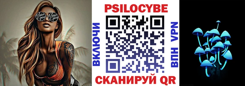 дарк нет Telegram  Демидов  Галлюциногенные грибы Cubensis  наркота 